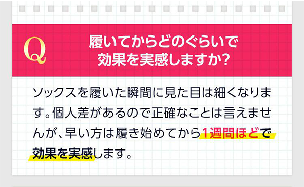 効果レビュー